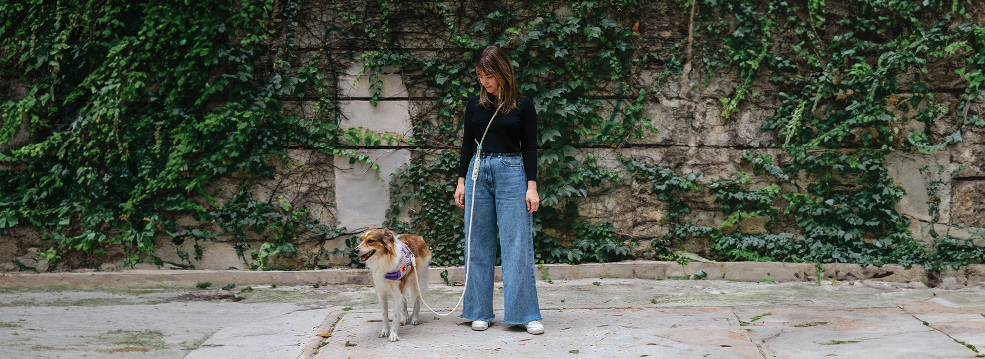 Design-Led Gear for Cool Dogs