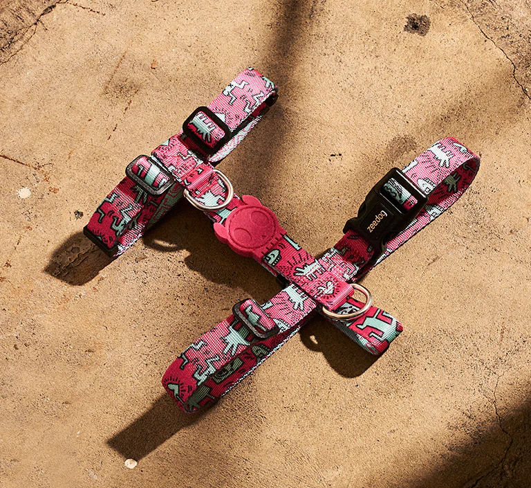 84 Crew | Collar - Image 9