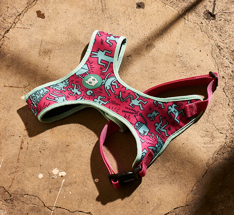 84 Crew | Leash - Image 11
