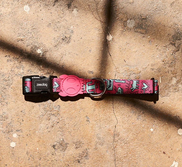 84 Crew | The Ruff Leash - Image 10