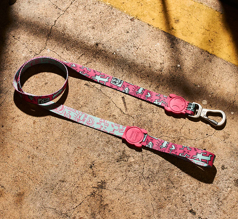 84 Crew | The Ruff Leash - Image 9