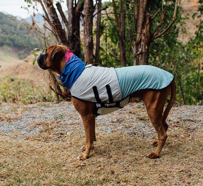 90's | Packable Raincoat - Image 8