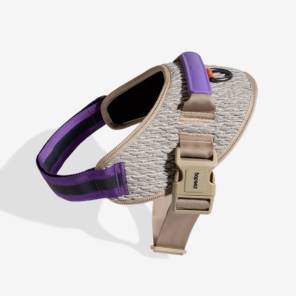 ACG | FlyHarness - Image 3