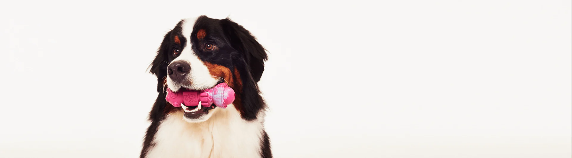 Alien Flex Space Station | Dog Toy - Image 5