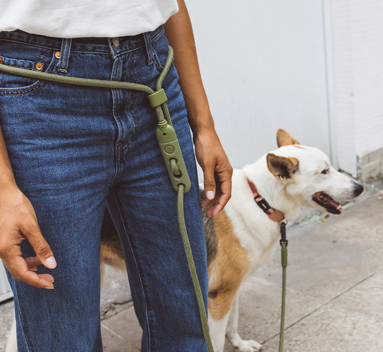 Army Green | Hands-Free Leash - Image 6
