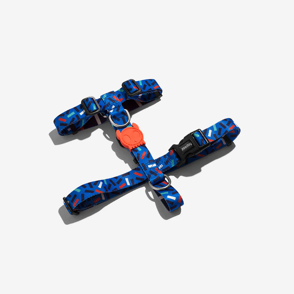 Atlanta | H Harness - Image 2
