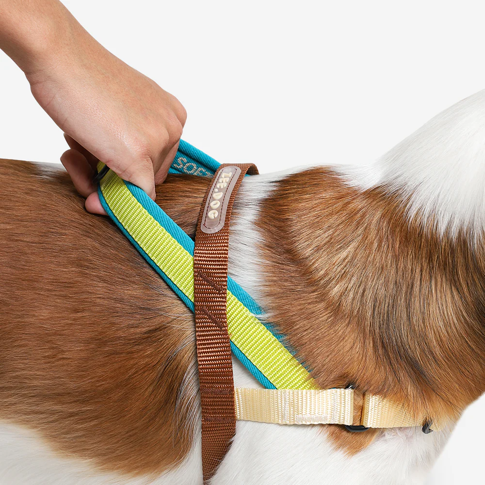 Avocado | SofterWalk Harness - Image 3