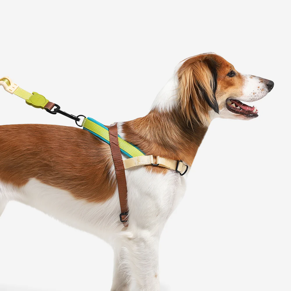Avocado | SofterWalk Harness - Image 4