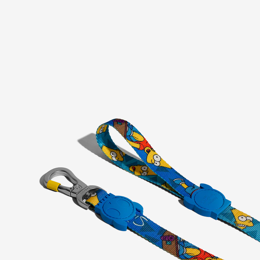 Bart Simpson | Leash - Image 6