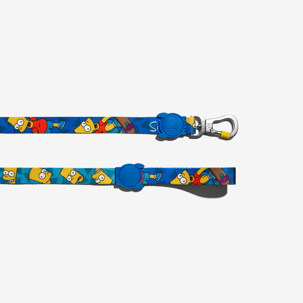Bart Simpson | Leash - Image 7