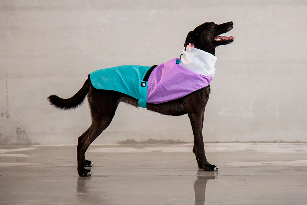 Bel Air | Raincoat - Image 12
