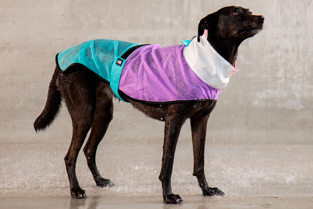 Bel Air | Raincoat - Image 13