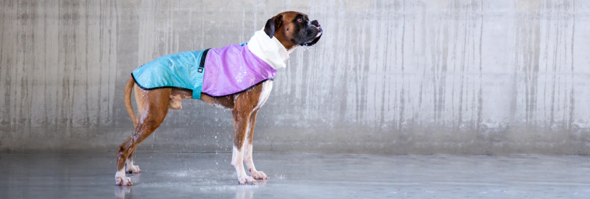 Bel Air | Raincoat - Image 21