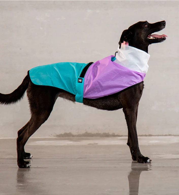 Bel Air | Raincoat - Image 26