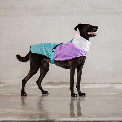 Bel Air | Raincoat - Image 27