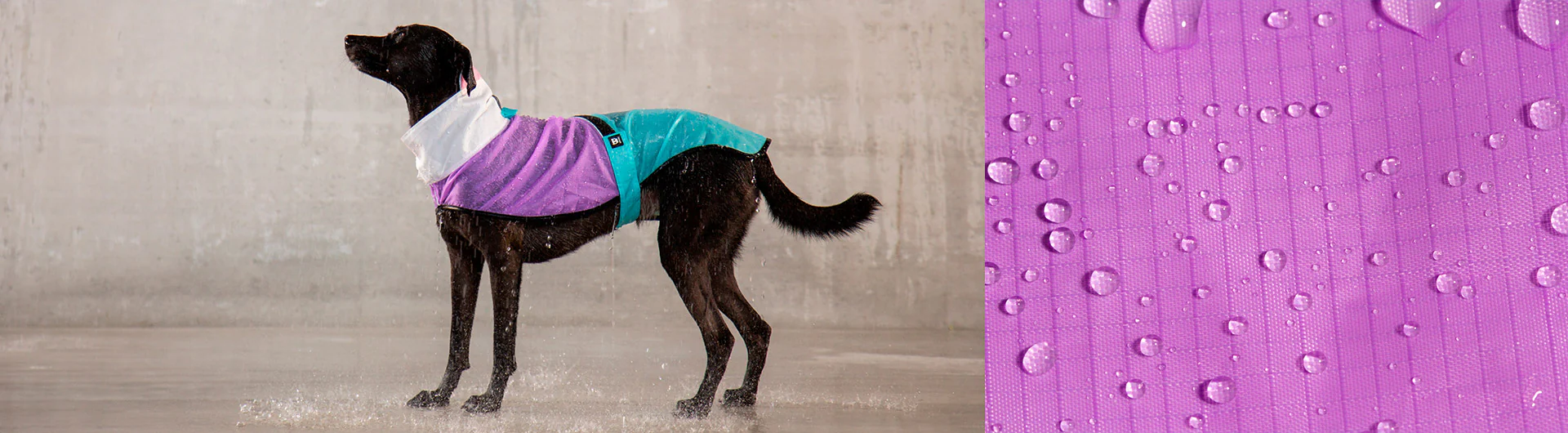 Bel Air | Raincoat - Image 9