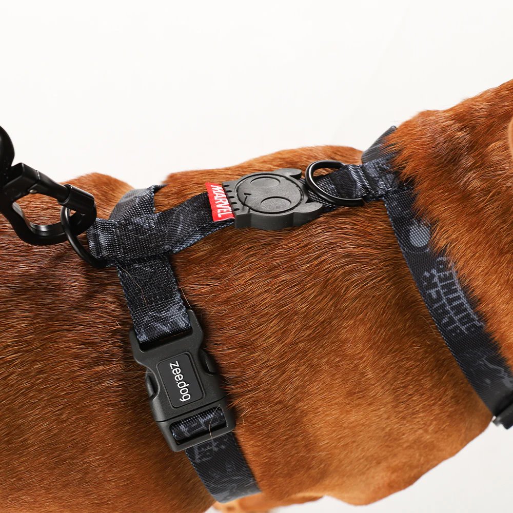 Black Panther | H Harness - Image 3
