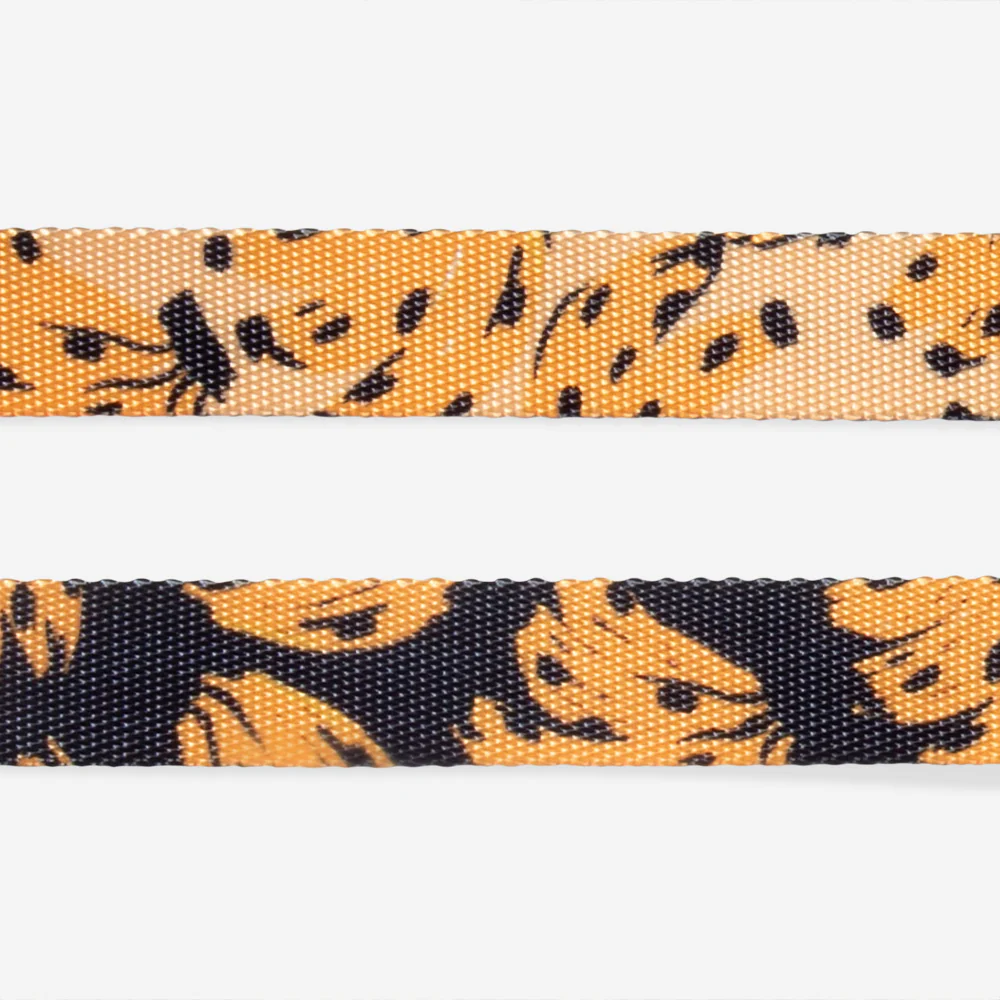 Bossa Banana | Leash - Image 5