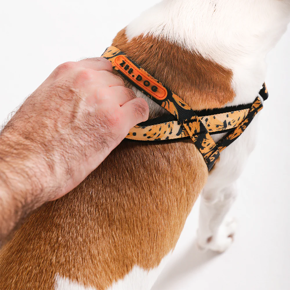 Bossa Banana | SofterWalk Harness - Image 3