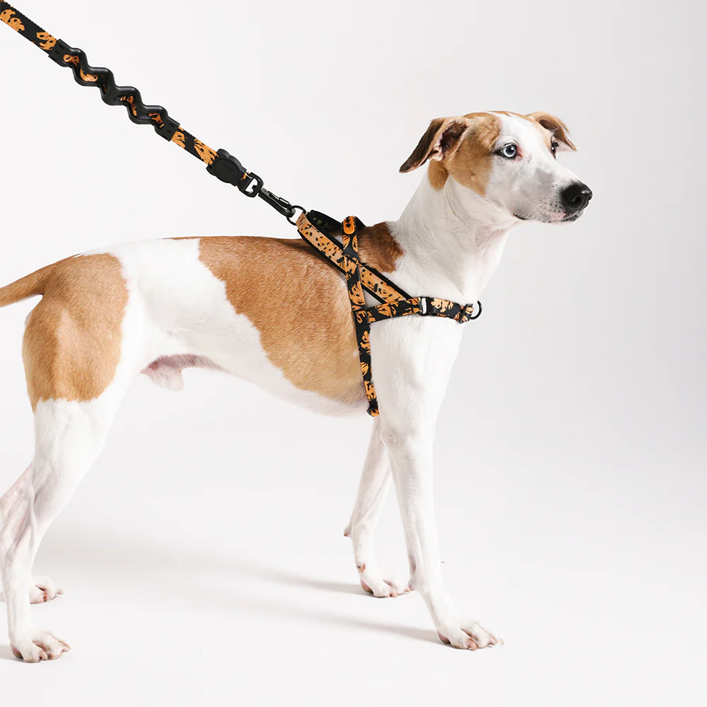 Bossa Banana | SofterWalk Harness - Image 4