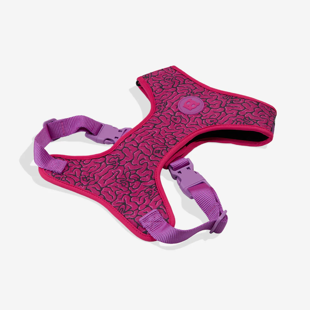 Brain | Adjustable Air Mesh Harness - Image 5