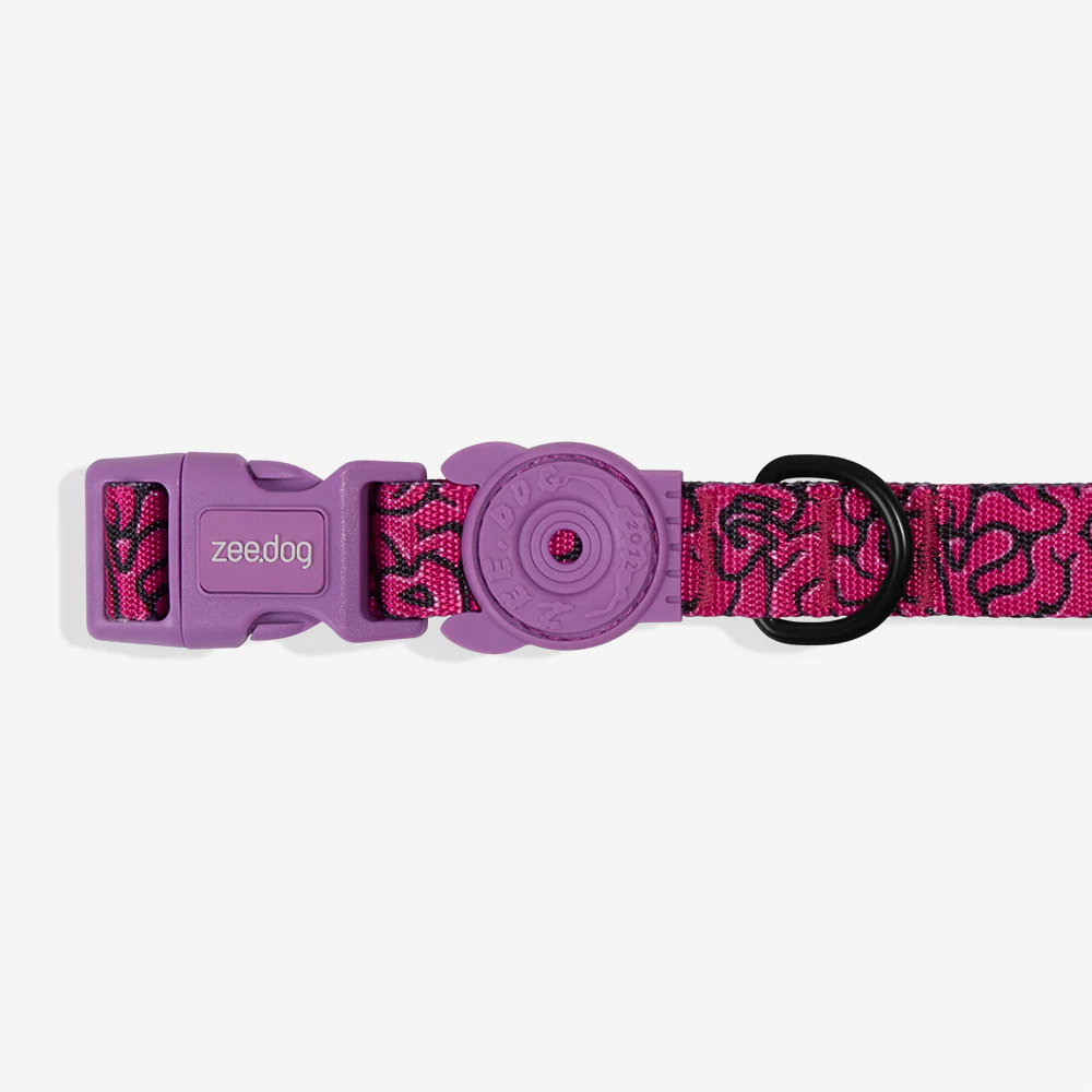 Brain | Collar - Image 3
