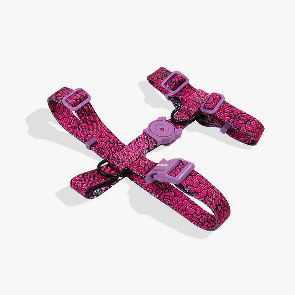 Brain | H Harness - Image 2
