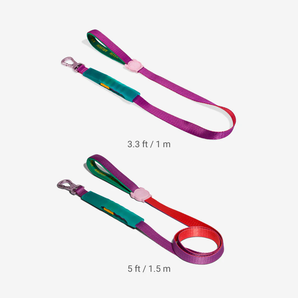 Cali Dos | Airleash - Image 4
