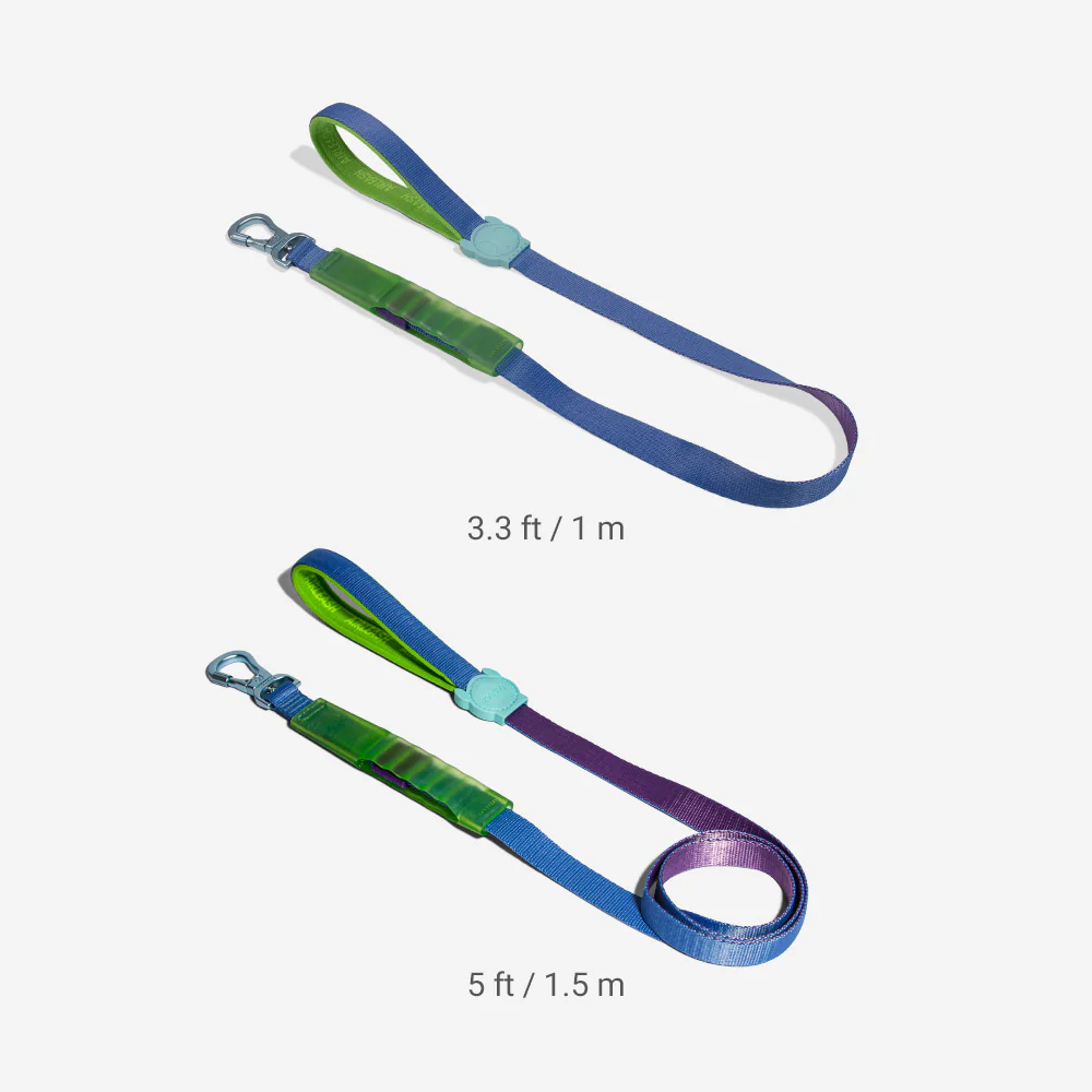 Cali Uno | Airleash - Image 4