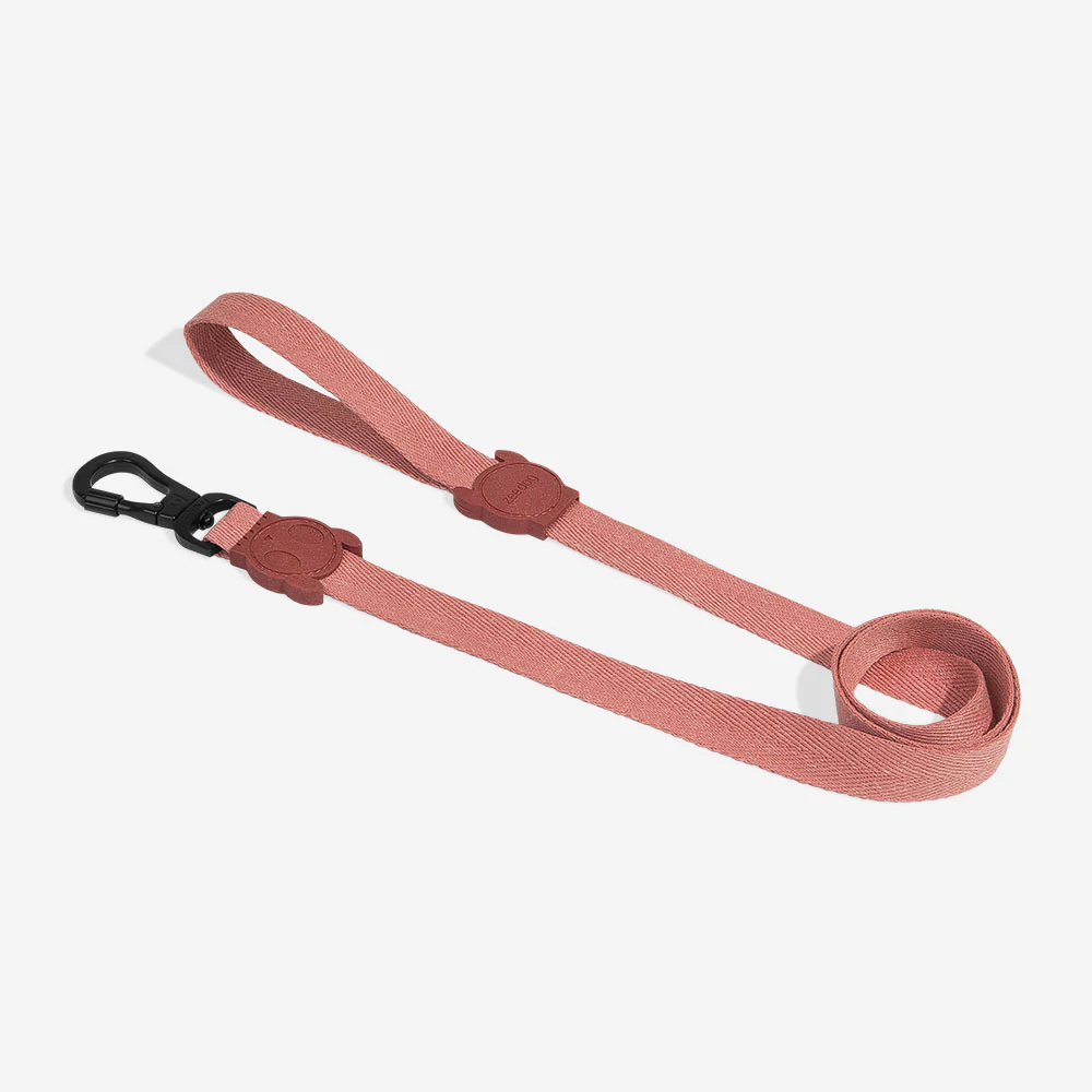 Canyon | Leash - Image 3