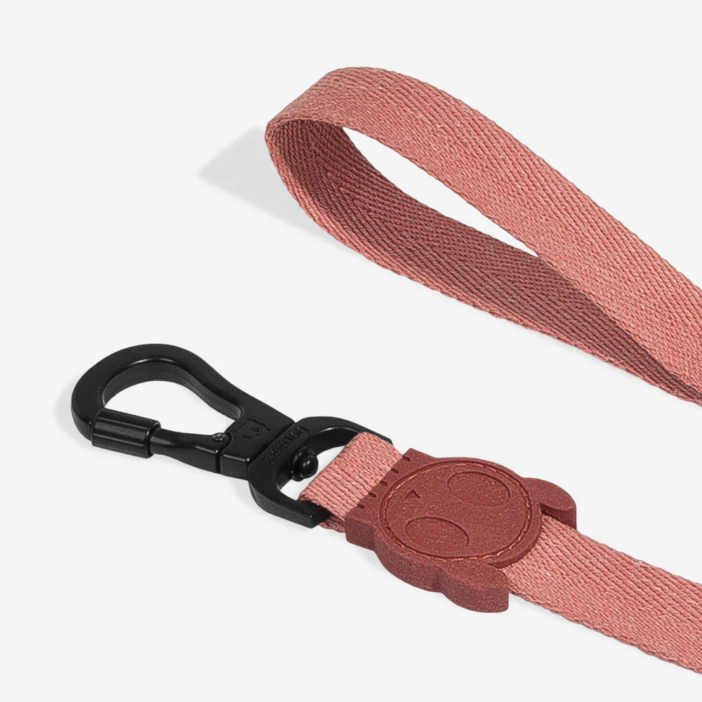 Canyon | Leash - Image 4