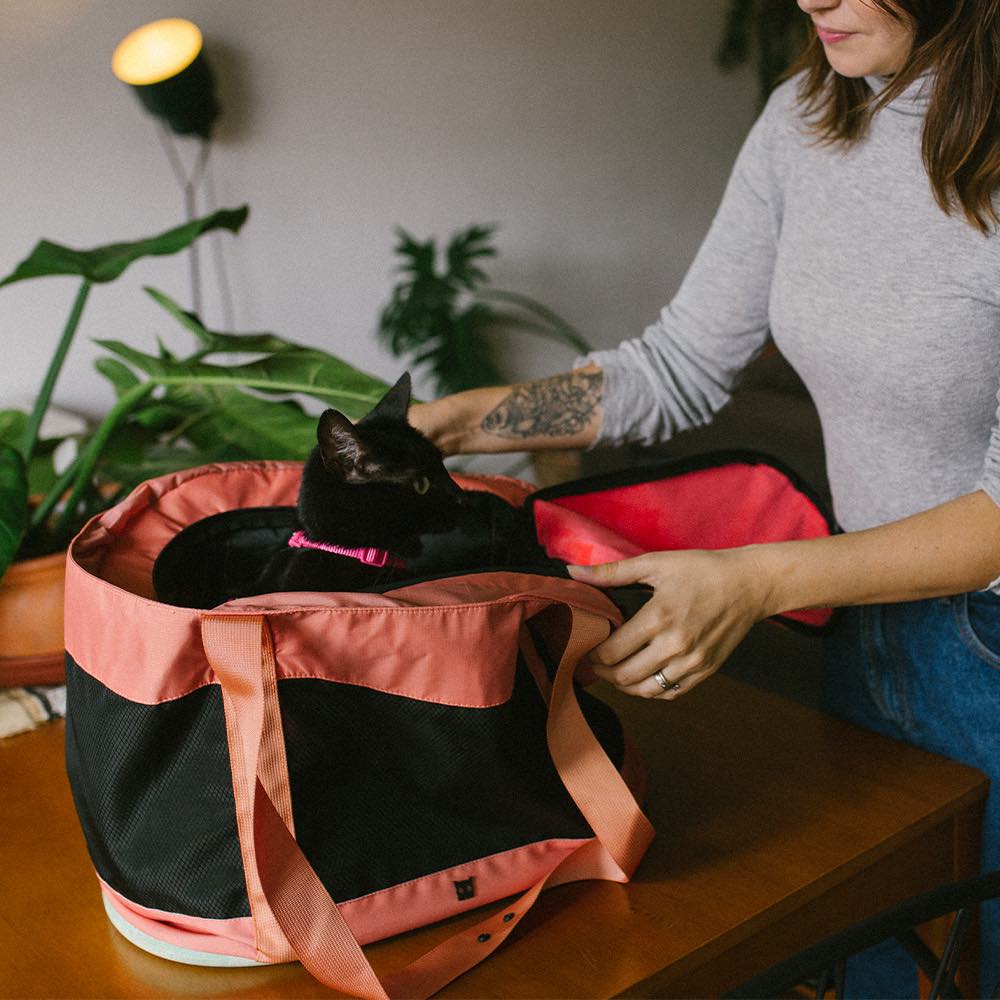 Terracotta | Cat Carrier Bag - Image 3