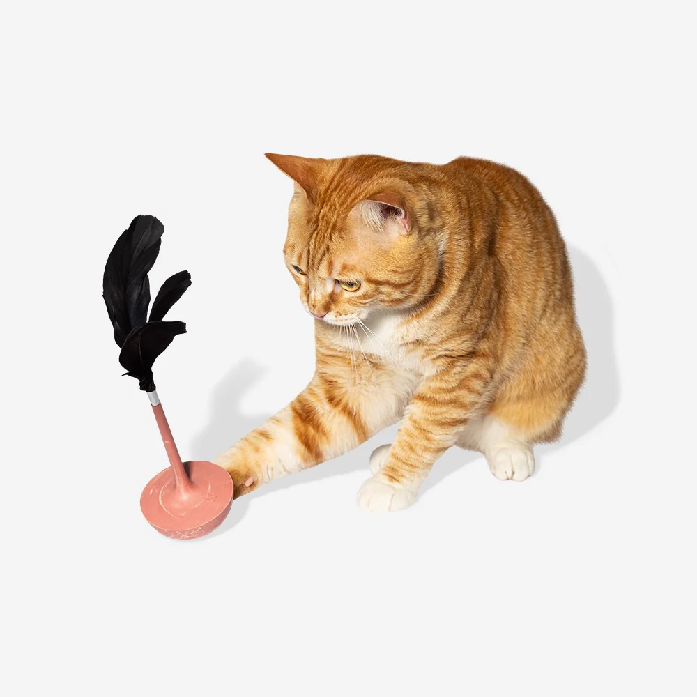 Citrus | Teaser Cat Toy - Image 3