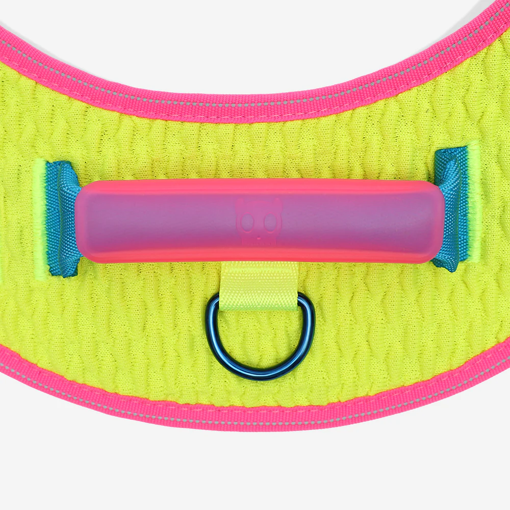 CMYK | FlyHarness - Image 4