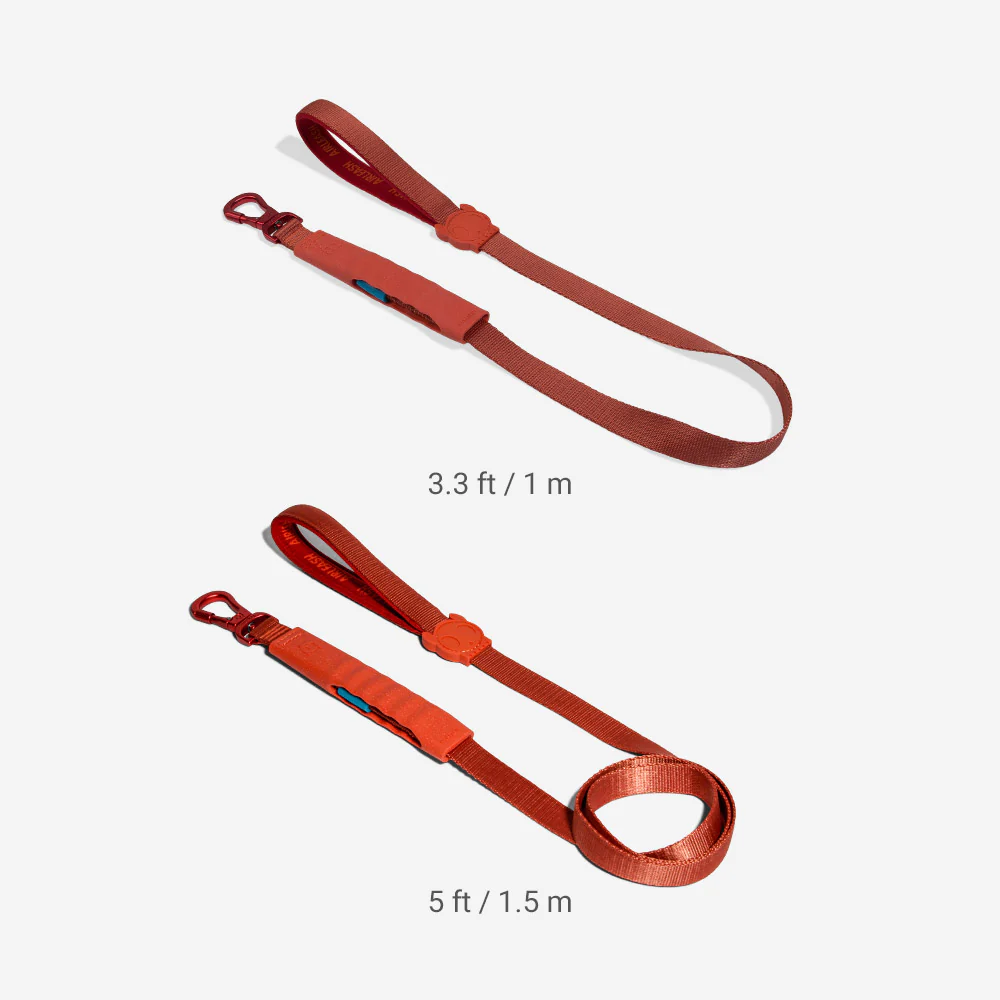 Crimson | Airleash - Image 4