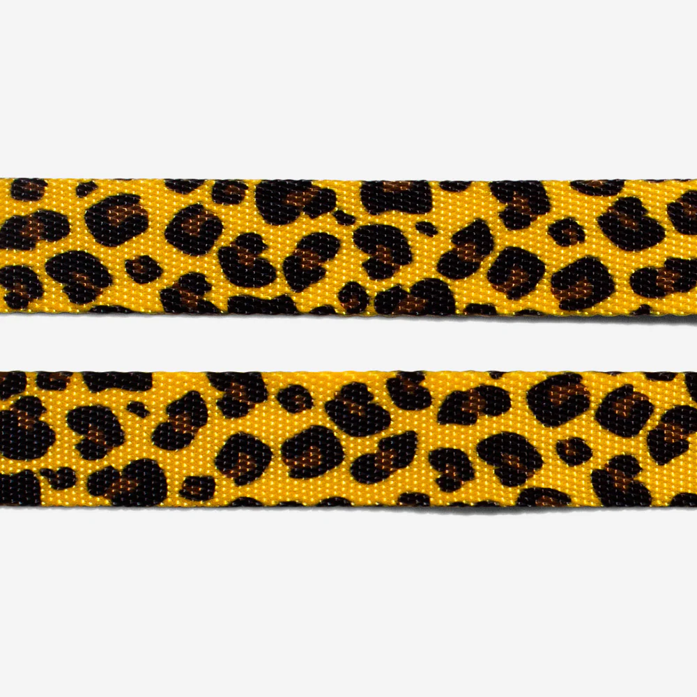 Honey | Dog Collar - Image 4