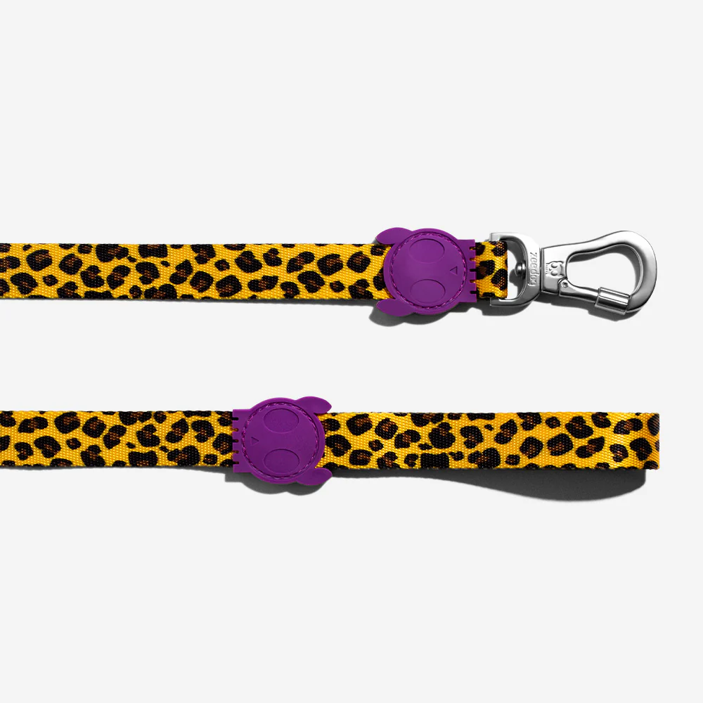 Honey | Dog Leash - Image 6