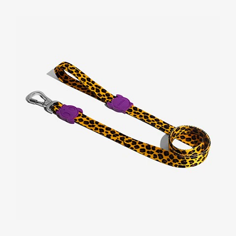 Honey | Dog Leash - Image 7