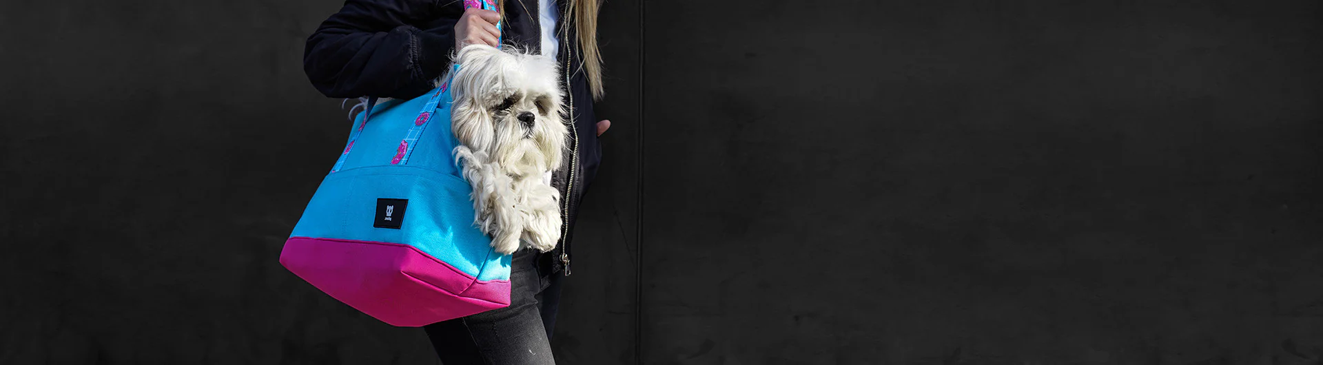 Donut | Dog Carrier - Image 4