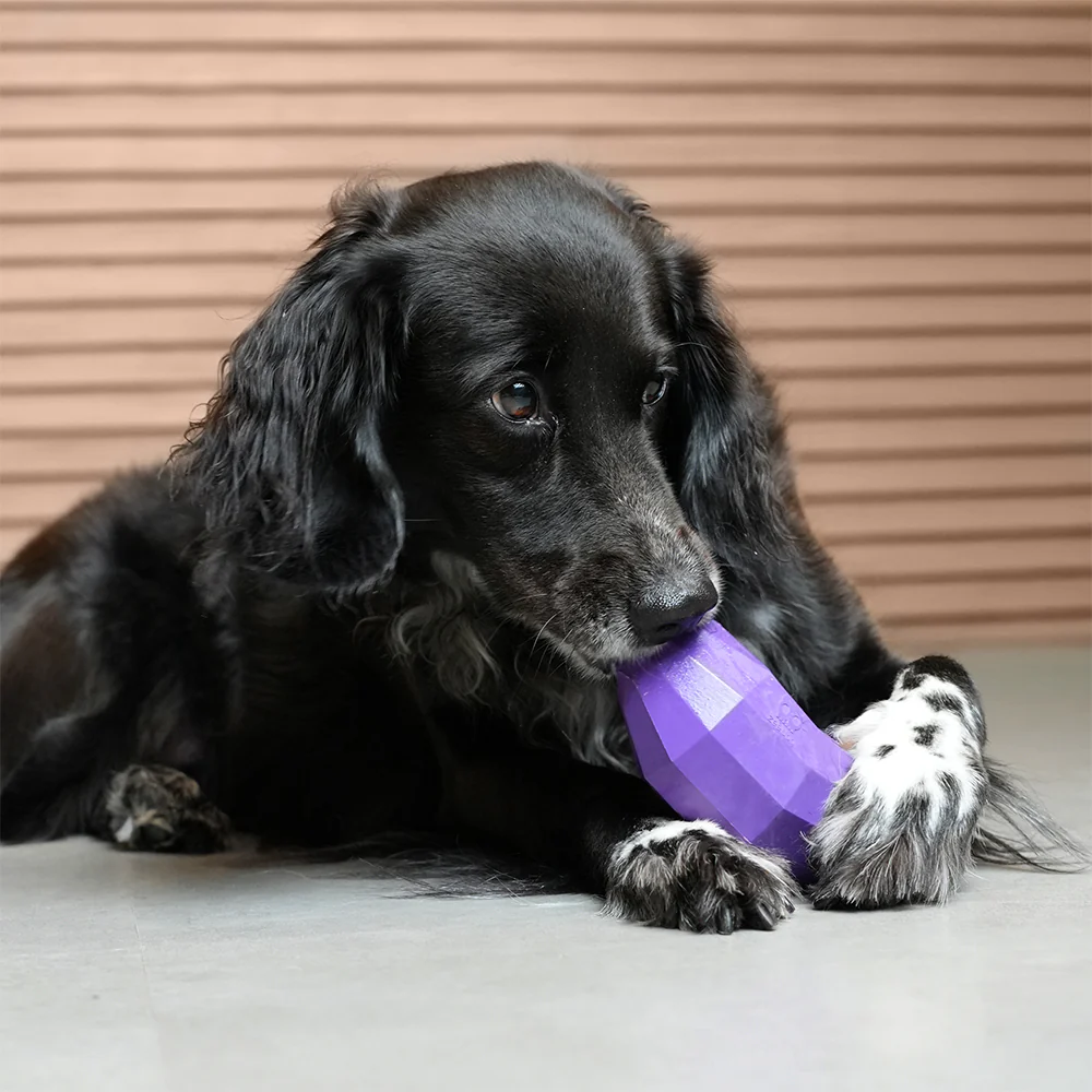 Eggplant  | Treat Dispensing Dog Toy - Image 3