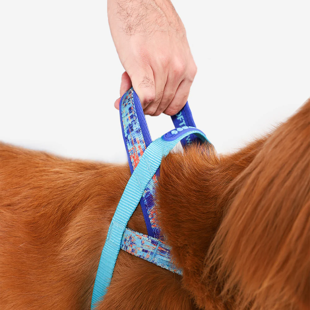 Error #404 | SofterWalk Harness - Image 3