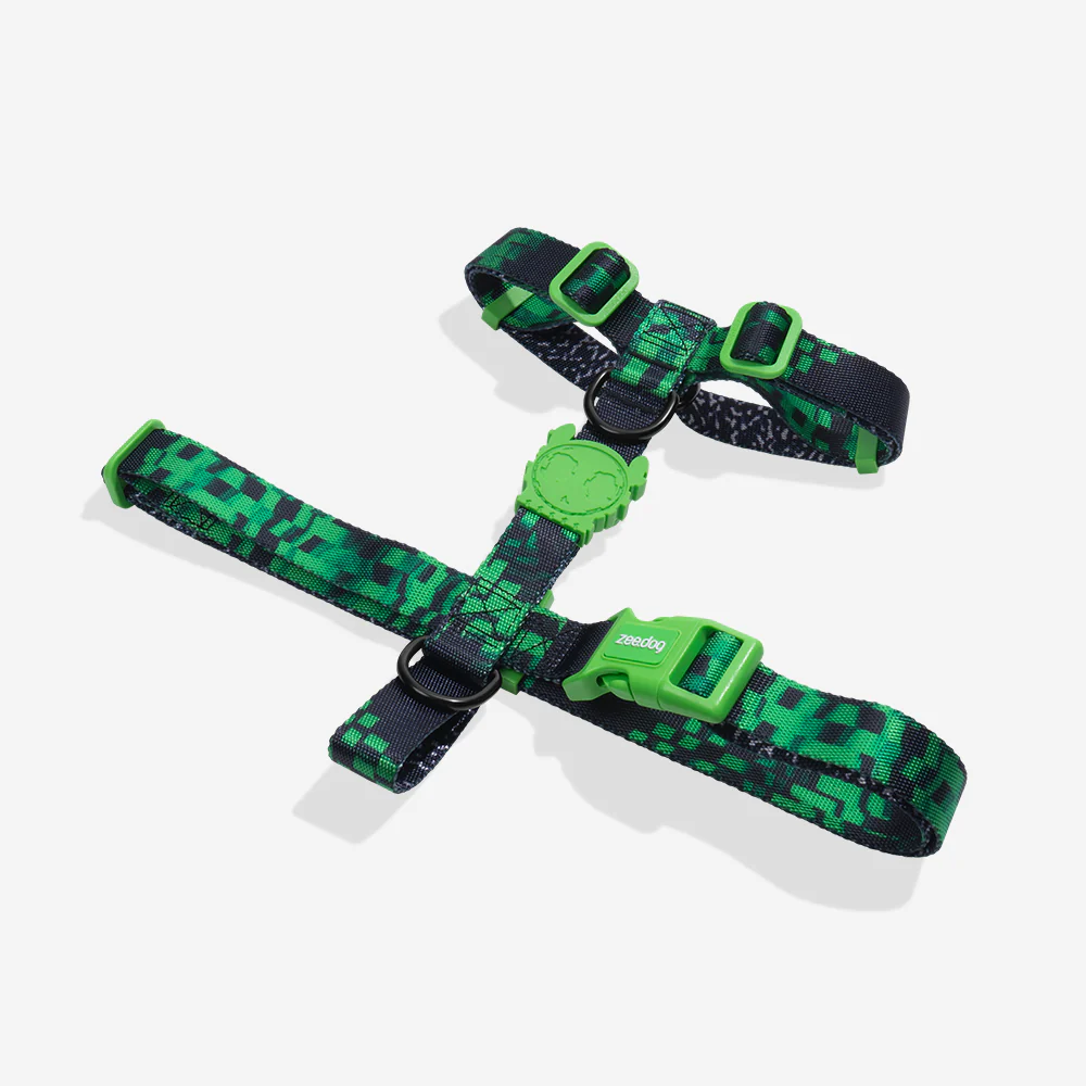 Error #410 | H Harness - Image 2
