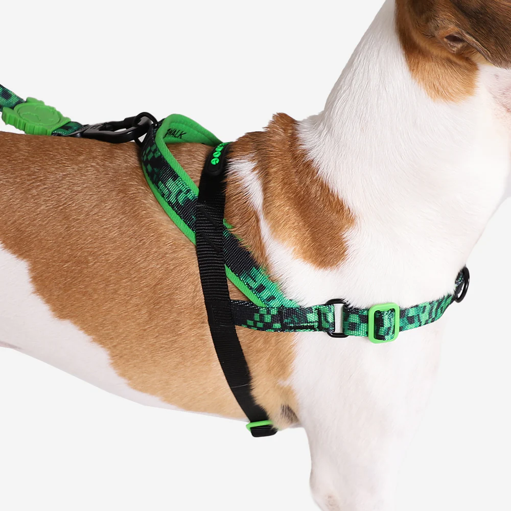 Error #410 | SofterWalk Harness - Image 3