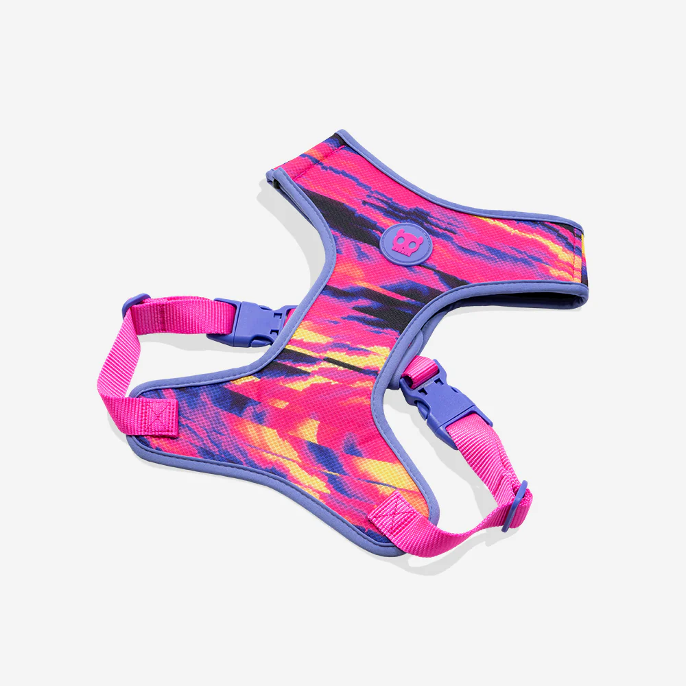 Error #500 | Adjustable Air Mesh Harness - Image 5
