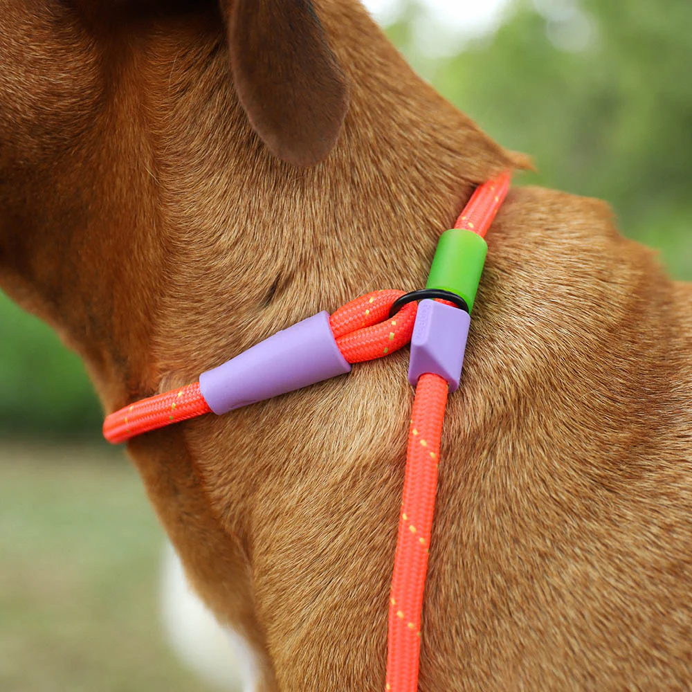 Everest | Slip-N-Lock Leash - Image 2