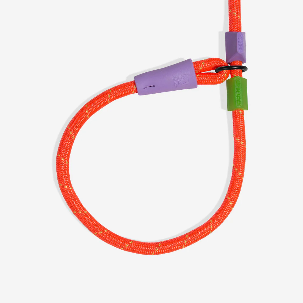 Everest | Slip-N-Lock Leash - Image 4