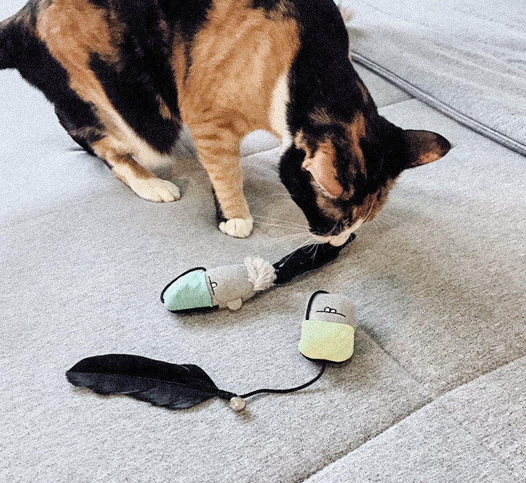 Finger Puppets | Cat Toy - Image 5