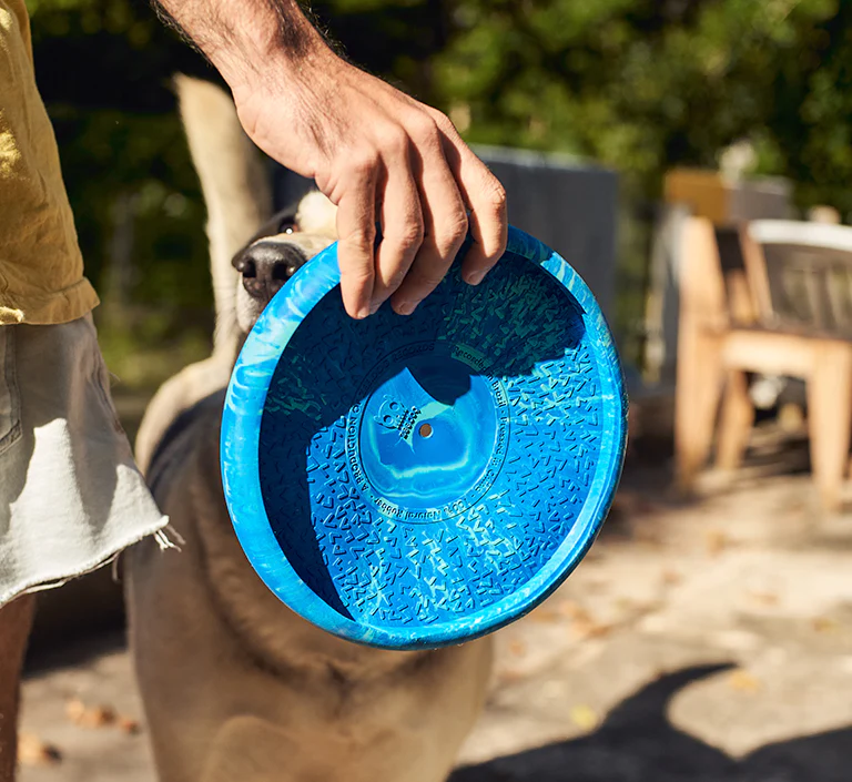 Flying Vinyl | Dog Toy - Image 4