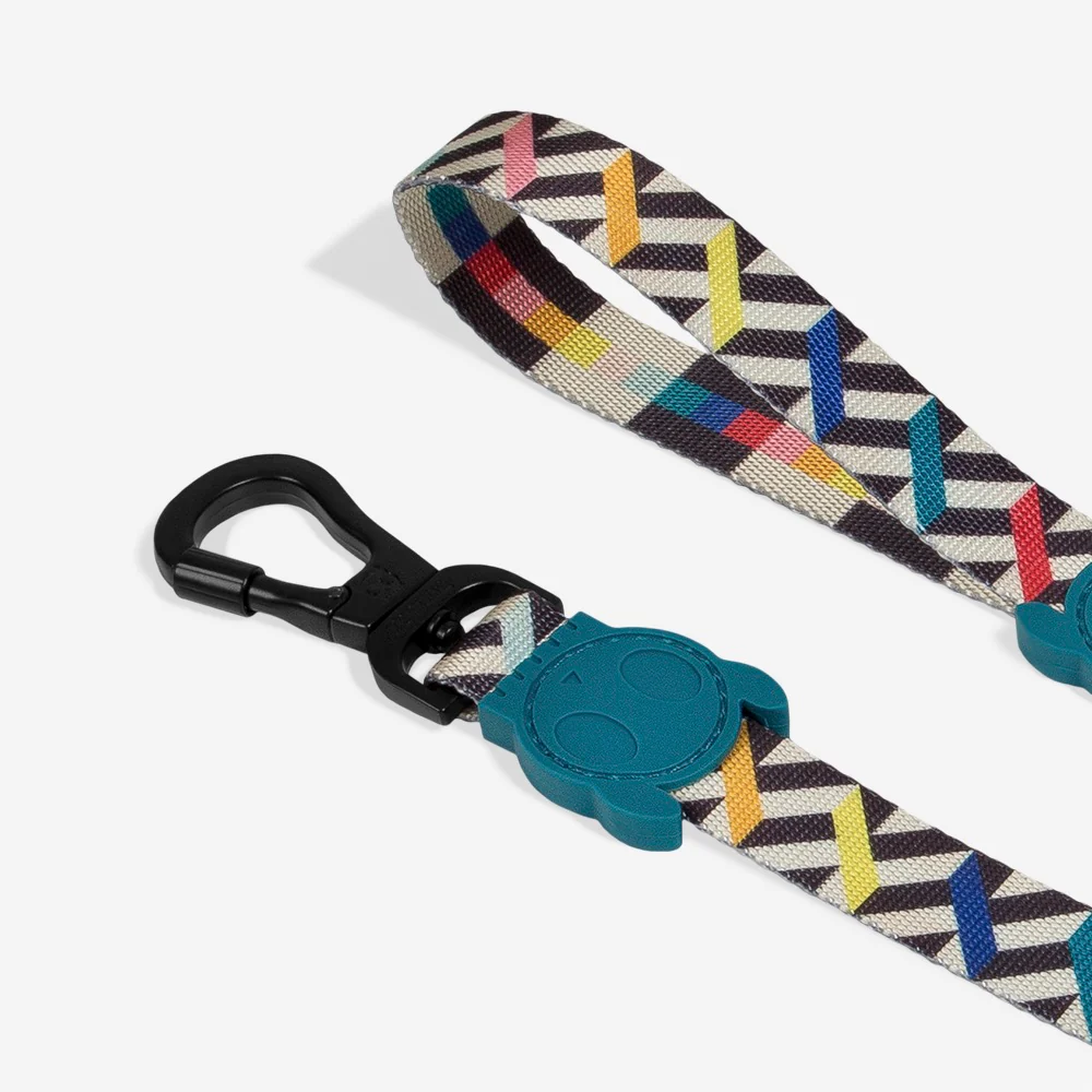 Fritz | Leash - Image 4