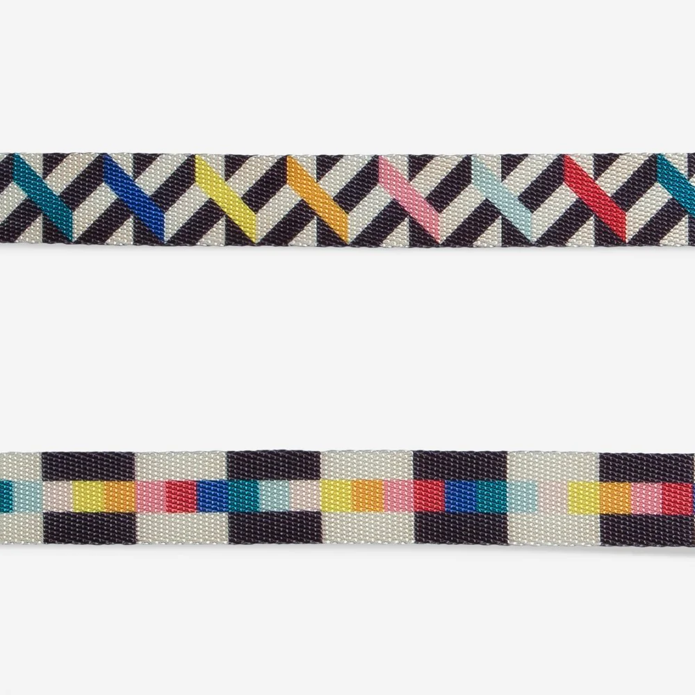 Fritz | Leash - Image 6